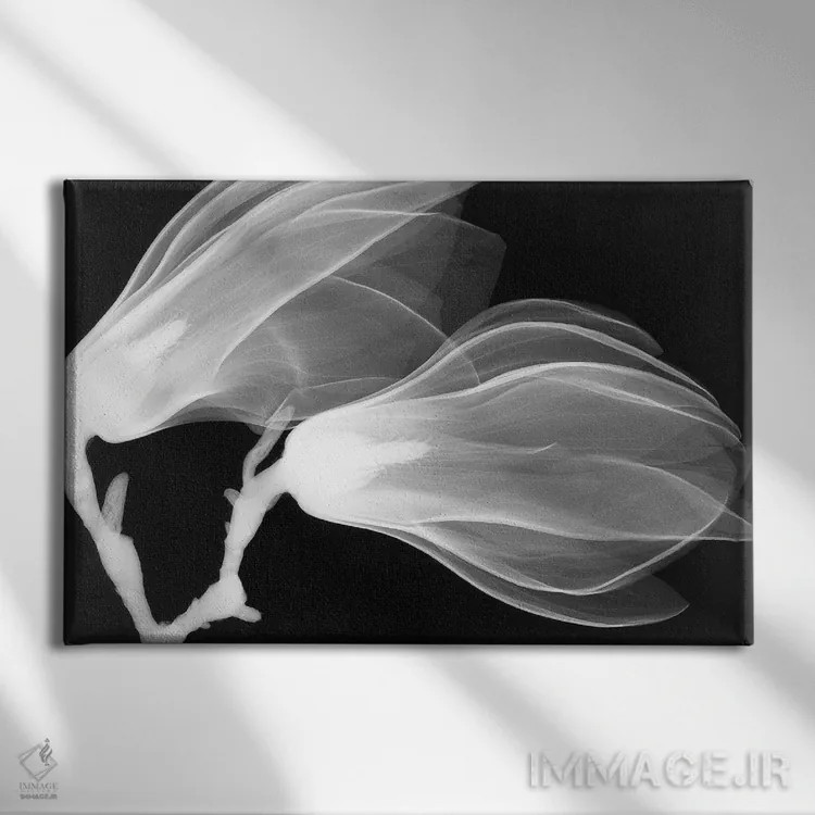 تابلو دکوراتیو ماگنولیا سه اثر هونگ فام - نمای روبهرو روی دیوار