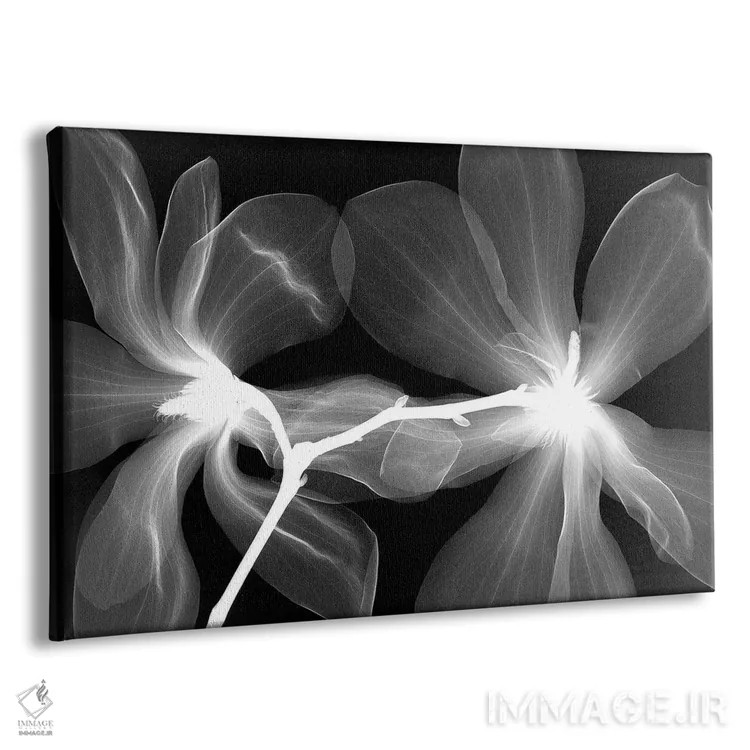 تابلو دکوراتیو ماگنولیا چهار اثر هونگ فام - نمای پرسپکتیو محصول