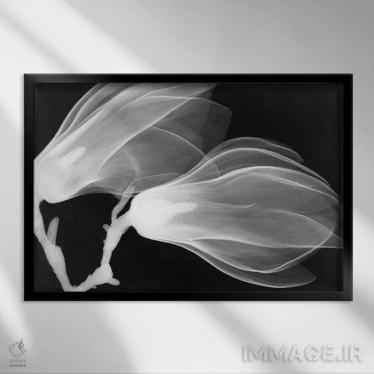 تابلو دکوراتیو ماگنولیا سه اثر هونگ فام - نمای قابدار مشکی