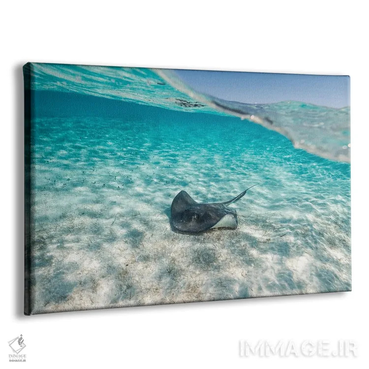 تابلو مینیمال سفره ماهی اثر هانا پریویت - نمای پرسپکتیو محصول