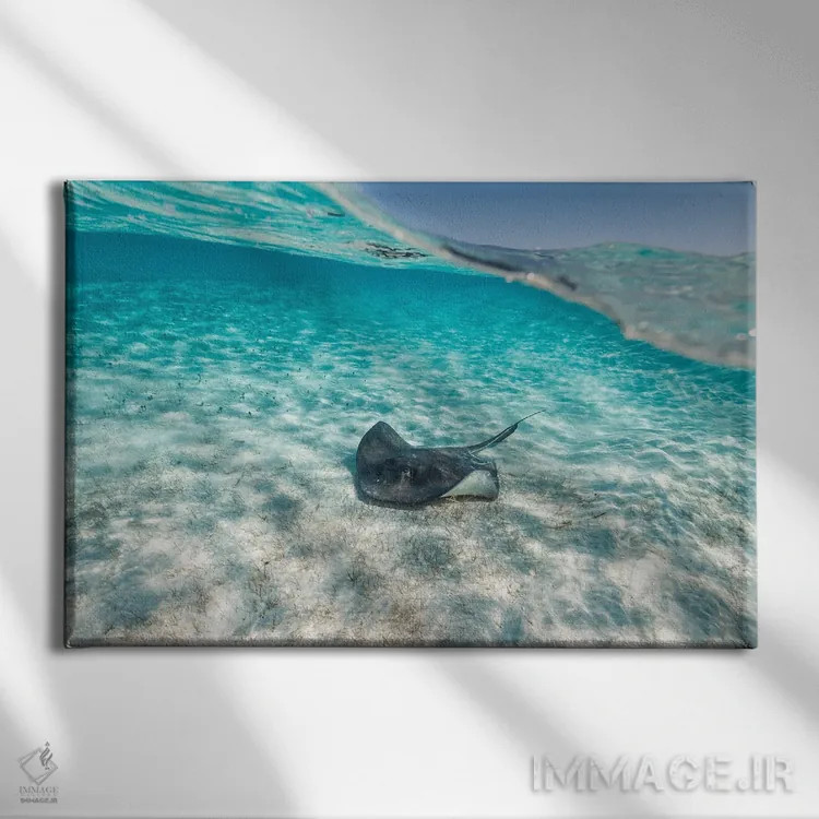 تابلو مینیمال سفره ماهی اثر هانا پریویت - نمای روبهرو روی دیوار