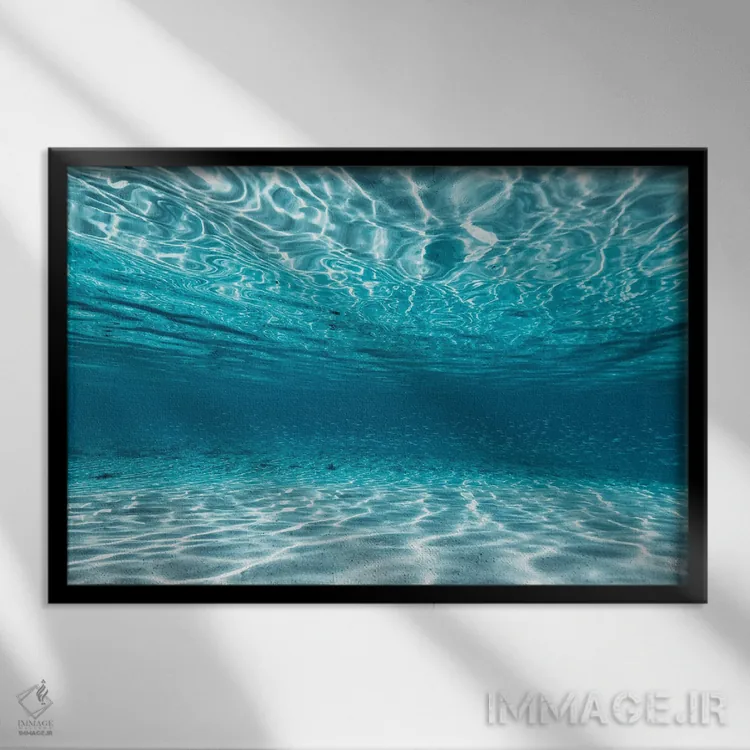 تابلو مینیمال ماهی طعمه اثر هانا پریویت - نمای قابدار مشکی