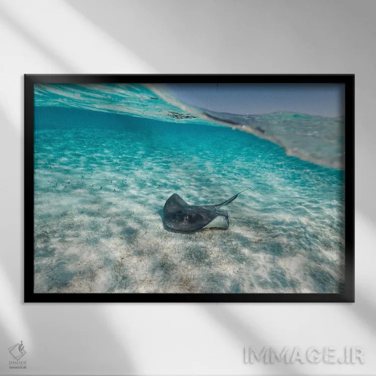 تابلو مینیمال سفره ماهی اثر هانا پریویت - نمای قابدار مشکی