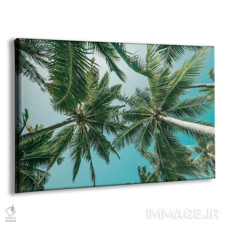 تابلو مینیمال زندگی جزیره ای اثر هانا پریویت - نمای پرسپکتیو محصول