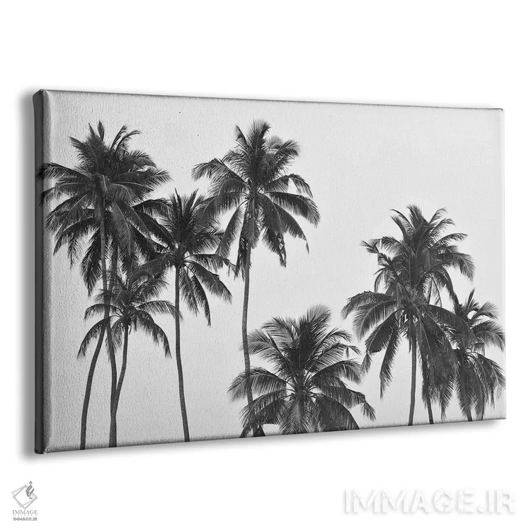 تابلو مینیمال نخل ها اثر هانا پریویت - نمای پرسپکتیو محصول