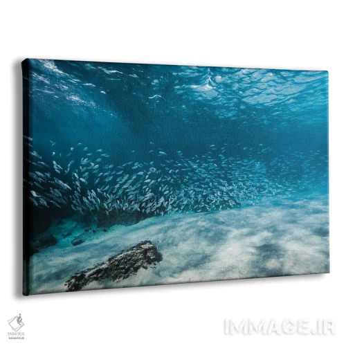 تابلو مینیمال دسته ماهی یا مدرسه اثر هانا پریویت - نمای پرسپکتیو محصول