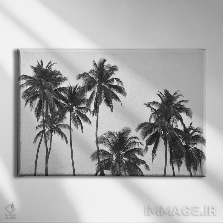 تابلو مینیمال نخل ها اثر هانا پریویت - نمای روبهرو روی دیوار