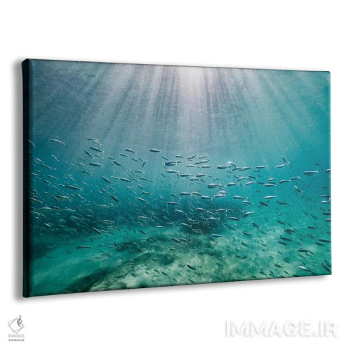 تابلو مینیمال پرتوها اثر هانا پریویت - نمای پرسپکتیو محصول