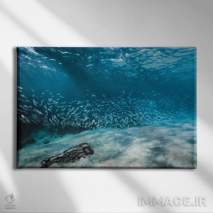 تابلو مینیمال دسته ماهی یا مدرسه اثر هانا پریویت - نمای روبهرو روی دیوار