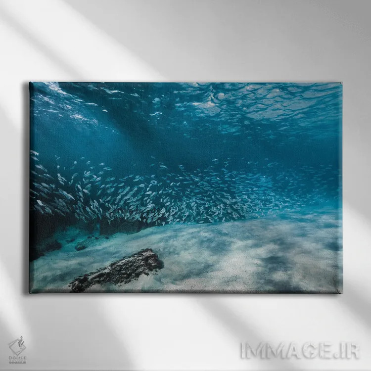 تابلو مینیمال دسته ماهی یا مدرسه اثر هانا پریویت - نمای روبهرو روی دیوار
