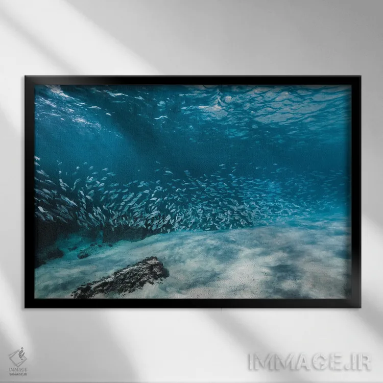 تابلو مینیمال دسته ماهی یا مدرسه اثر هانا پریویت - نمای قابدار مشکی