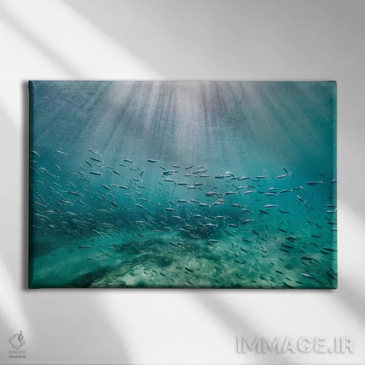 تابلو مینیمال پرتوها اثر هانا پریویت - نمای روبهرو روی دیوار