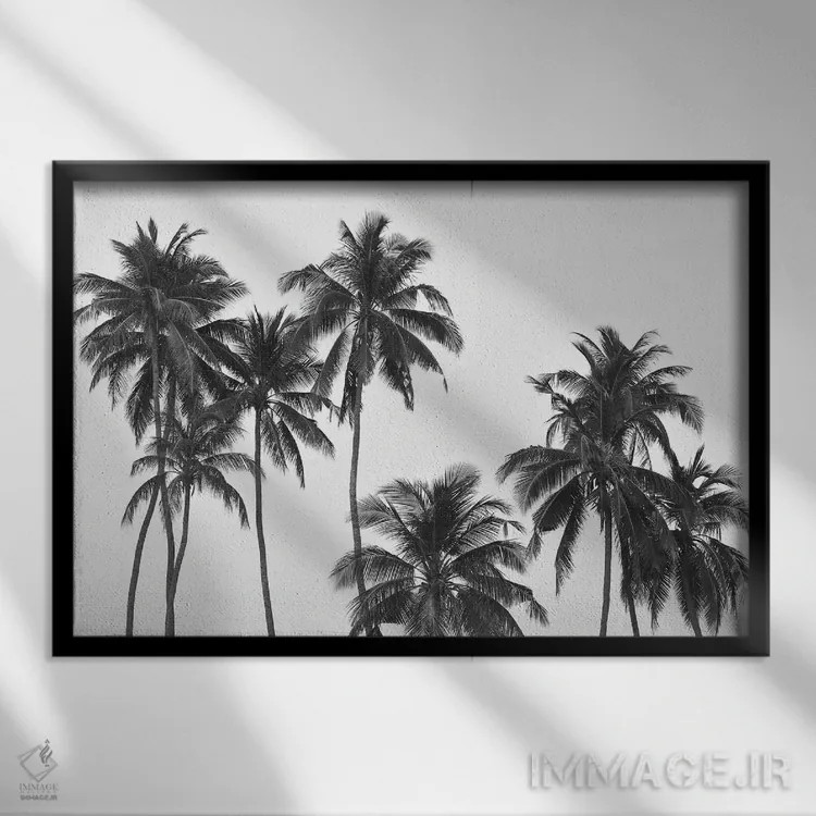 تابلو مینیمال نخل ها اثر هانا پریویت - نمای قابدار مشکی