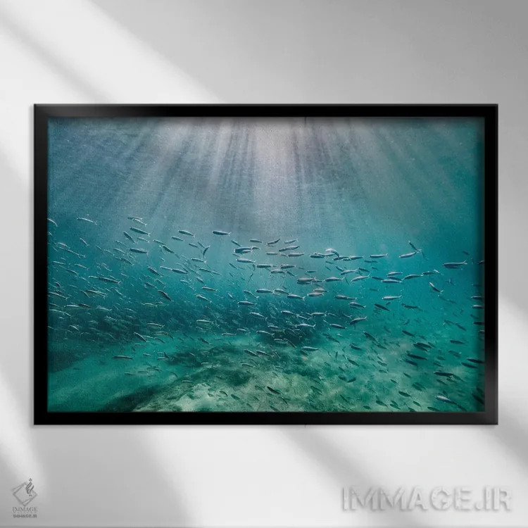 تابلو مینیمال پرتوها اثر هانا پریویت - نمای قابدار مشکی