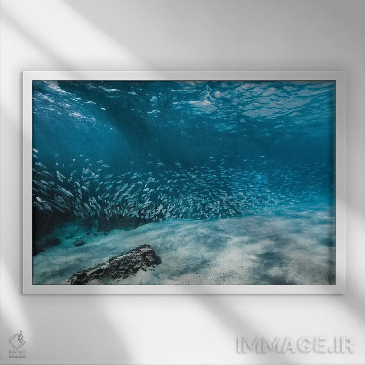 تابلو مینیمال دسته ماهی یا مدرسه اثر هانا پریویت - نمای قابدار سفید