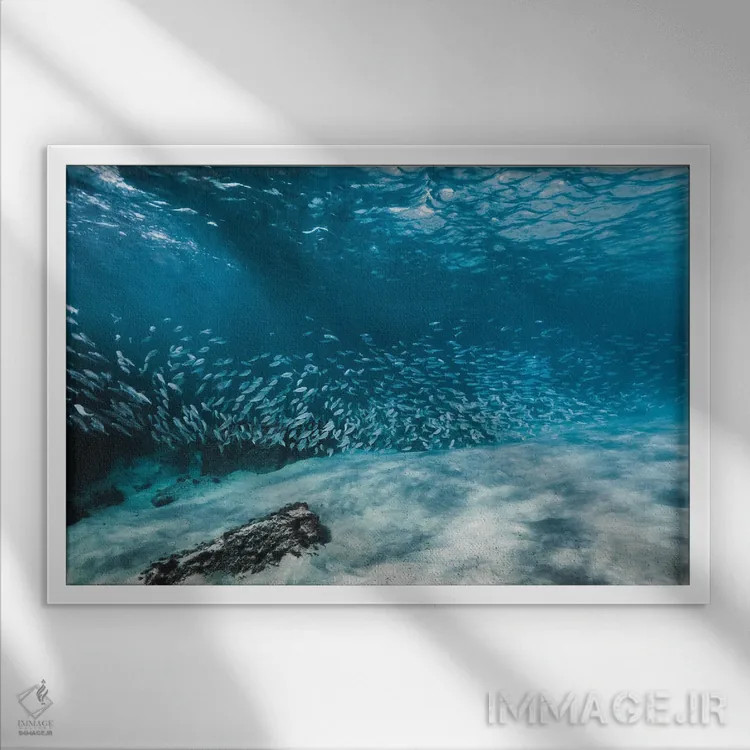 تابلو مینیمال دسته ماهی یا مدرسه اثر هانا پریویت - نمای قابدار سفید