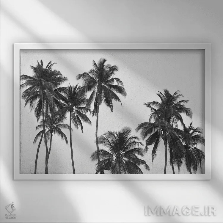 تابلو مینیمال نخل ها اثر هانا پریویت - نمای قابدار سفید
