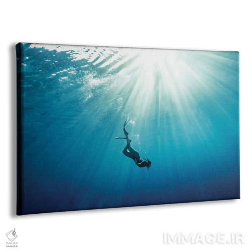 تابلو مینیمال غواصی باهاما اثر هانا پریویت - نمای پرسپکتیو محصول