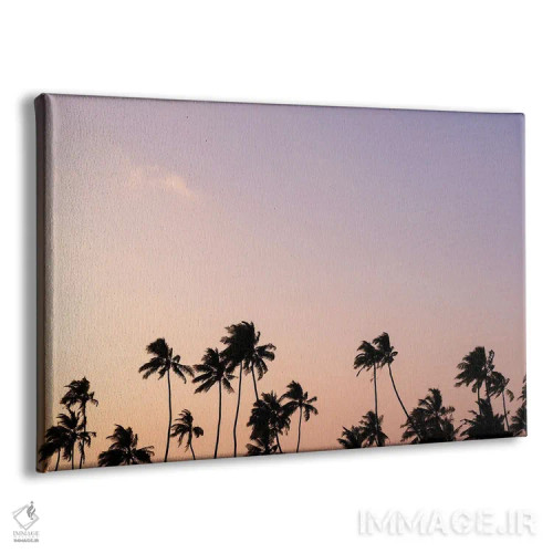 تابلو مینیمال نخل های هنگام غروب اثر هانا پریویت - نمای پرسپکتیو محصول