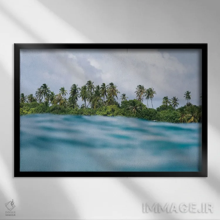 تابلو مینیمال نخل های اقیانوسی اثر هانا پریویت - نمای قابدار مشکی
