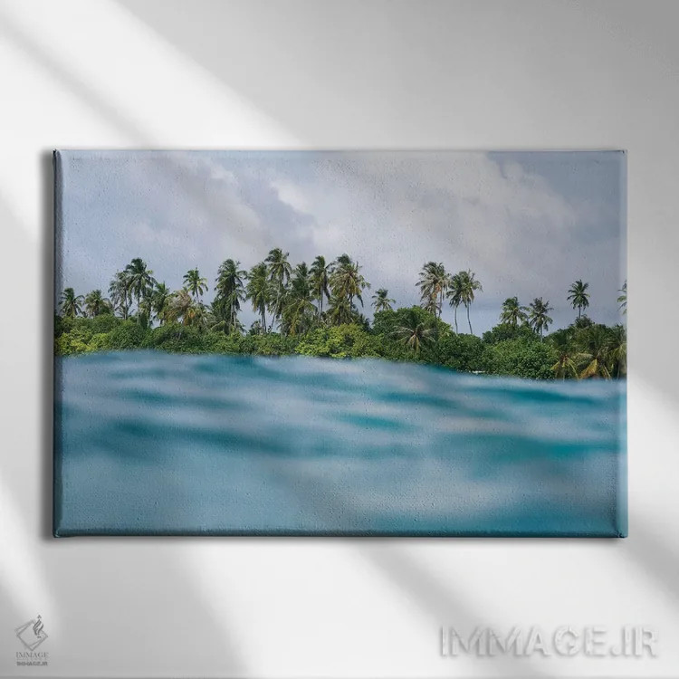 تابلو مینیمال نخل های اقیانوسی اثر هانا پریویت - نمای روبهرو روی دیوار