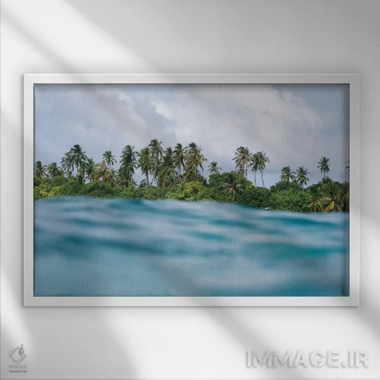 تابلو مینیمال نخل های اقیانوسی اثر هانا پریویت - نمای قابدار سفید