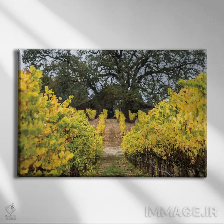 تابلو دکوراتیو تاکستان پاییزی اثر هدر رابرسون - نمای روبهرو روی دیوار