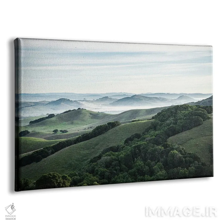 تابلو دکوراتیو منطقه پتالوما اثر هدر رابرسون - نمای پرسپکتیو محصول