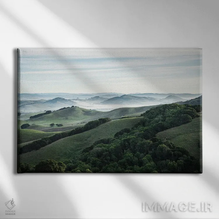 تابلو دکوراتیو منطقه پتالوما اثر هدر رابرسون - نمای روبهرو روی دیوار