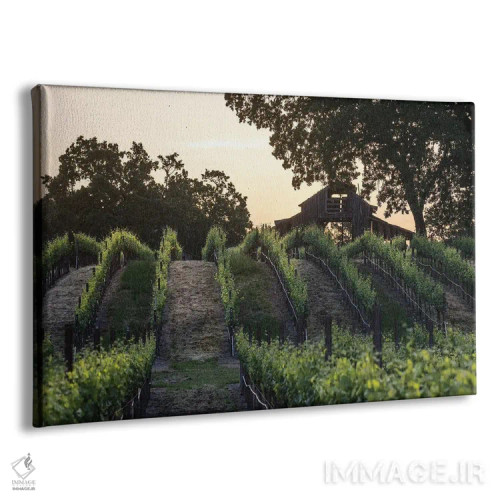 تابلو دکوراتیو طلوع تاکستان بهاری اثر هدر رابرسون - نمای پرسپکتیو محصول