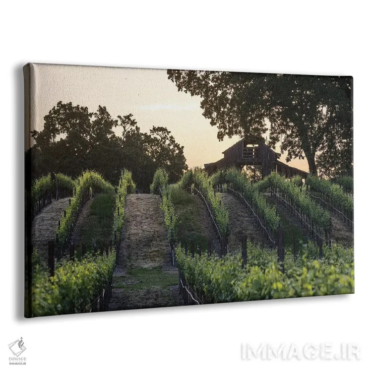 تابلو دکوراتیو طلوع تاکستان بهاری اثر هدر رابرسون - نمای پرسپکتیو محصول