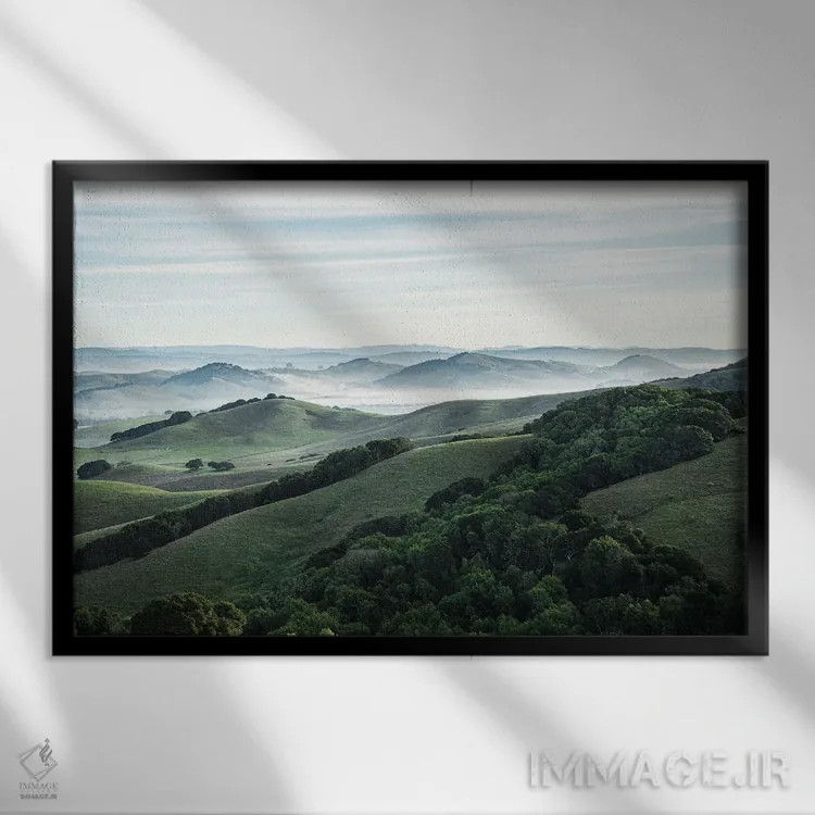 تابلو دکوراتیو منطقه پتالوما اثر هدر رابرسون - نمای قابدار مشکی