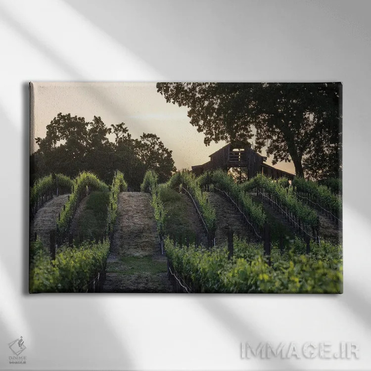 تابلو دکوراتیو طلوع تاکستان بهاری اثر هدر رابرسون - نمای روبهرو روی دیوار