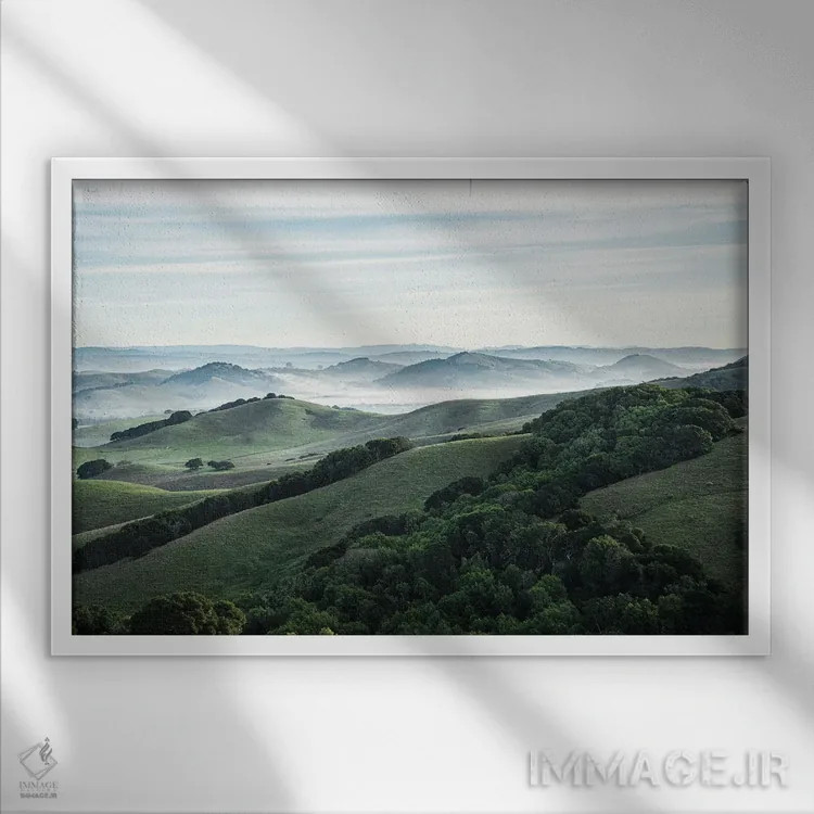 تابلو دکوراتیو منطقه پتالوما اثر هدر رابرسون - نمای قابدار سفید