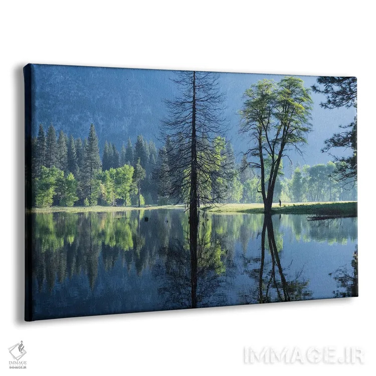 تابلو دکوراتیو ناظر صبحگاهی اثر هدر رابرسون - نمای پرسپکتیو محصول