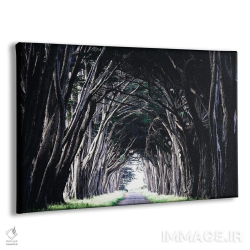 تابلو دکوراتیو نور در انتها اثر هدر رابرسون - نمای پرسپکتیو محصول