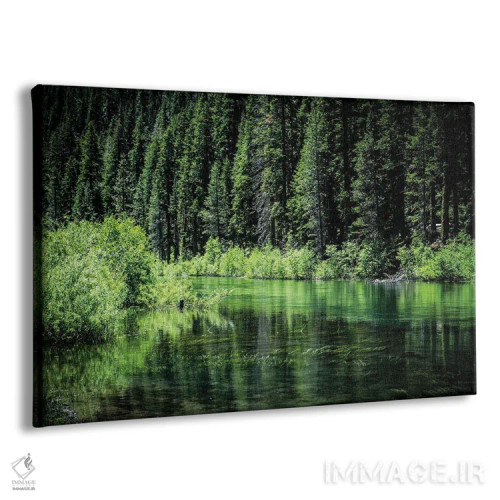 تابلو دکوراتیو کنار رودخانه تراکی اثر هدر رابرسون - نمای پرسپکتیو محصول