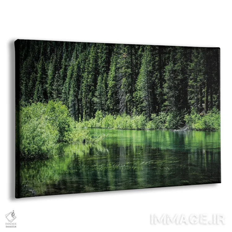 تابلو دکوراتیو کنار رودخانه تراکی اثر هدر رابرسون - نمای پرسپکتیو محصول