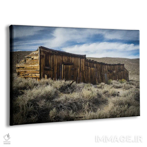 تابلو دکوراتیو مدت ها فراموش شده اثر هدر رابرسون - نمای پرسپکتیو محصول