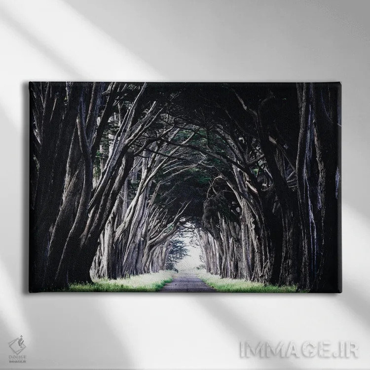 تابلو دکوراتیو نور در انتها اثر هدر رابرسون - نمای روبهرو روی دیوار