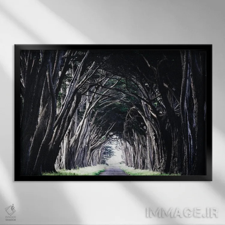 تابلو دکوراتیو نور در انتها اثر هدر رابرسون - نمای قابدار مشکی