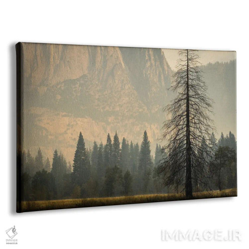 تابلو دکوراتیو مه دودی در یوسیمیتی اثر هدر رابرسون - نمای پرسپکتیو محصول