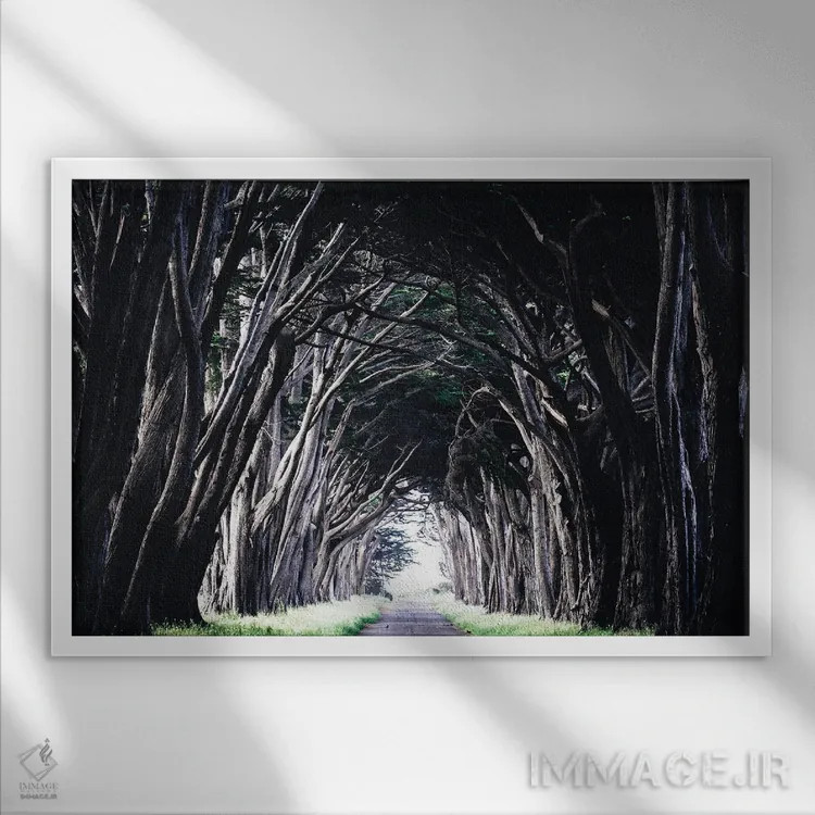 تابلو دکوراتیو نور در انتها اثر هدر رابرسون - نمای قابدار سفید