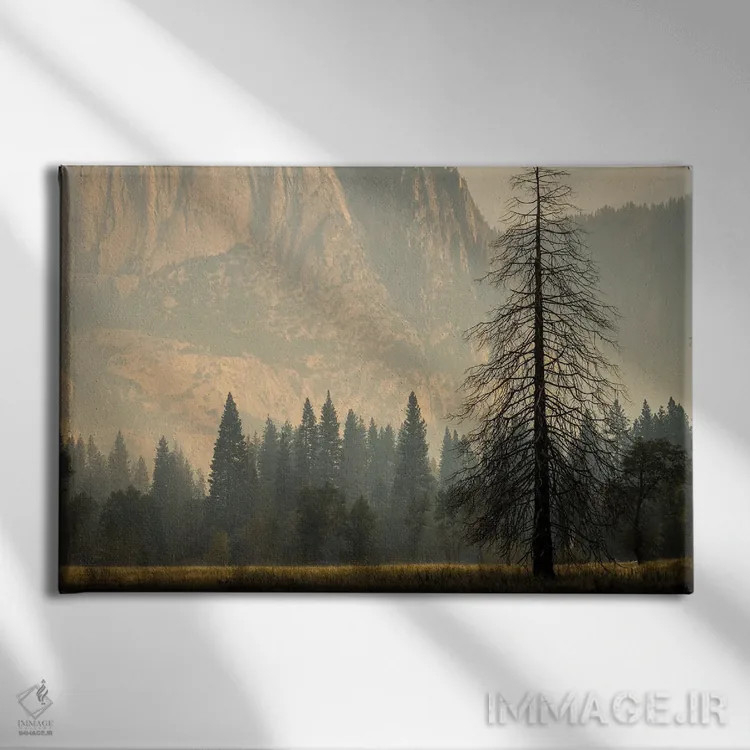 تابلو دکوراتیو مه دودی در یوسیمیتی اثر هدر رابرسون - نمای روبهرو روی دیوار