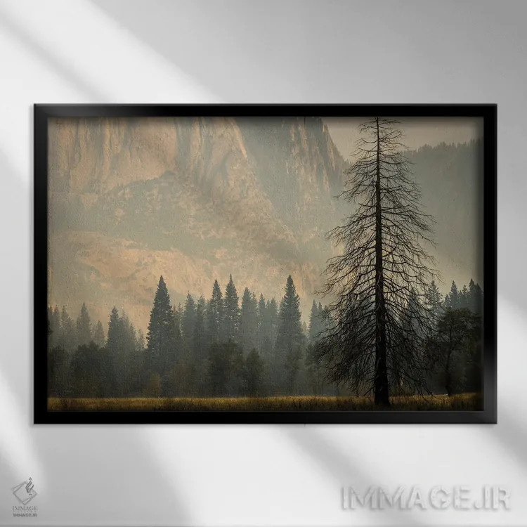 تابلو دکوراتیو مه دودی در یوسیمیتی اثر هدر رابرسون - نمای قابدار مشکی