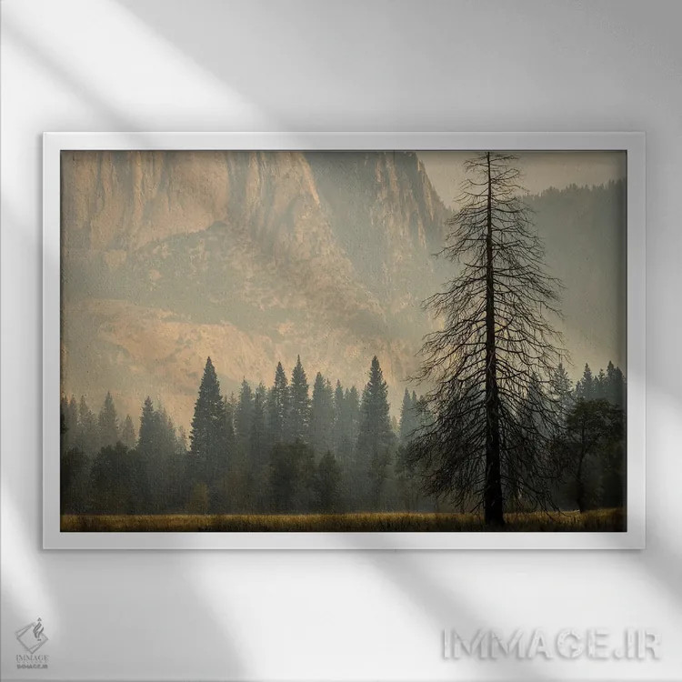 تابلو دکوراتیو مه دودی در یوسیمیتی اثر هدر رابرسون - نمای قابدار سفید