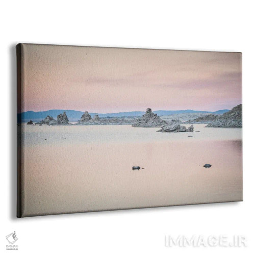 تابلو دکوراتیو زیبا در صورتی اثر هدر رابرسون - نمای پرسپکتیو محصول