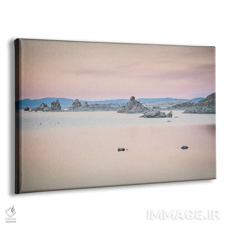 تابلو دکوراتیو زیبا در صورتی اثر هدر رابرسون - نمای پرسپکتیو محصول