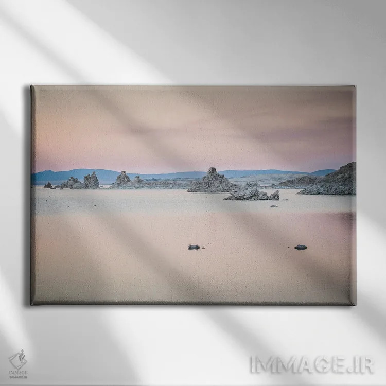 تابلو دکوراتیو زیبا در صورتی اثر هدر رابرسون - نمای روبهرو روی دیوار