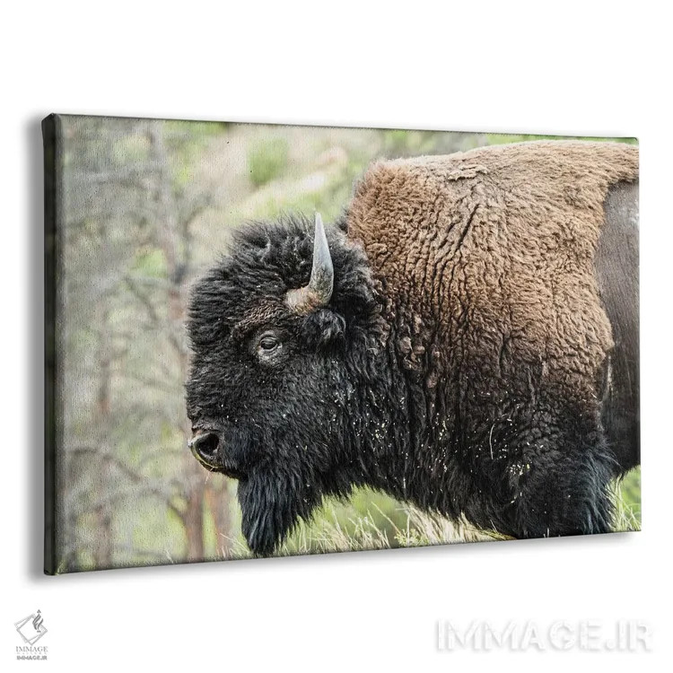 تابلو دکوراتیو همه چیز آرام در جبهه غرب اثر هدر رابرسون - نمای پرسپکتیو محصول